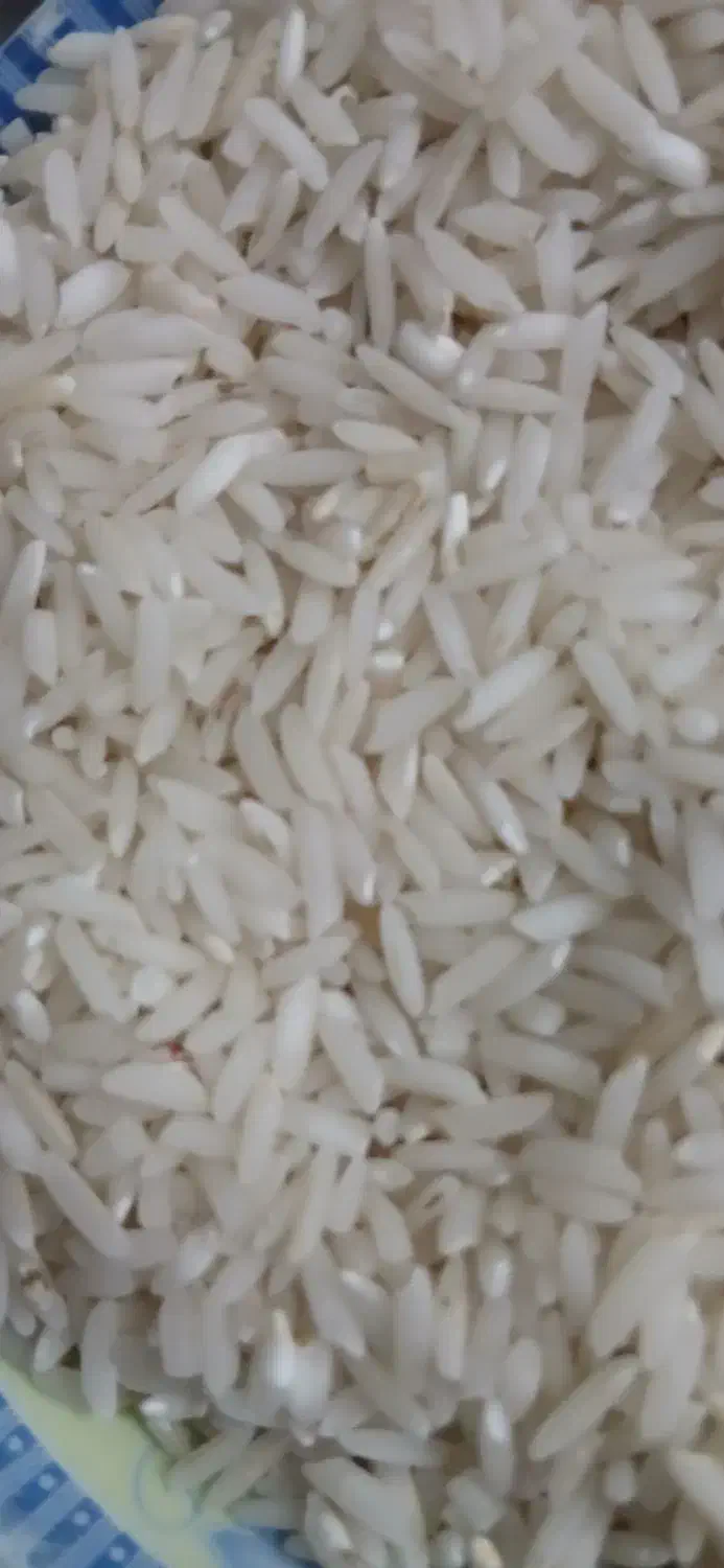 فروش نیم دانه طارم|خوردنی و آشامیدنی|مرزیکلا, |دیوار