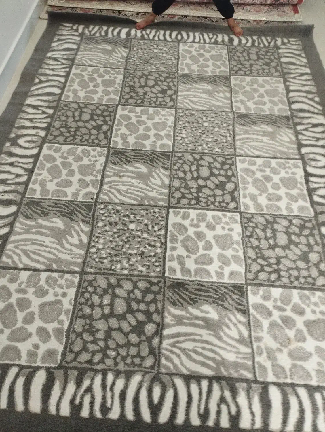 گلیم فرش ۶ متری|گلیم، جاجیم، گبه|کوهدشت, |دیوار