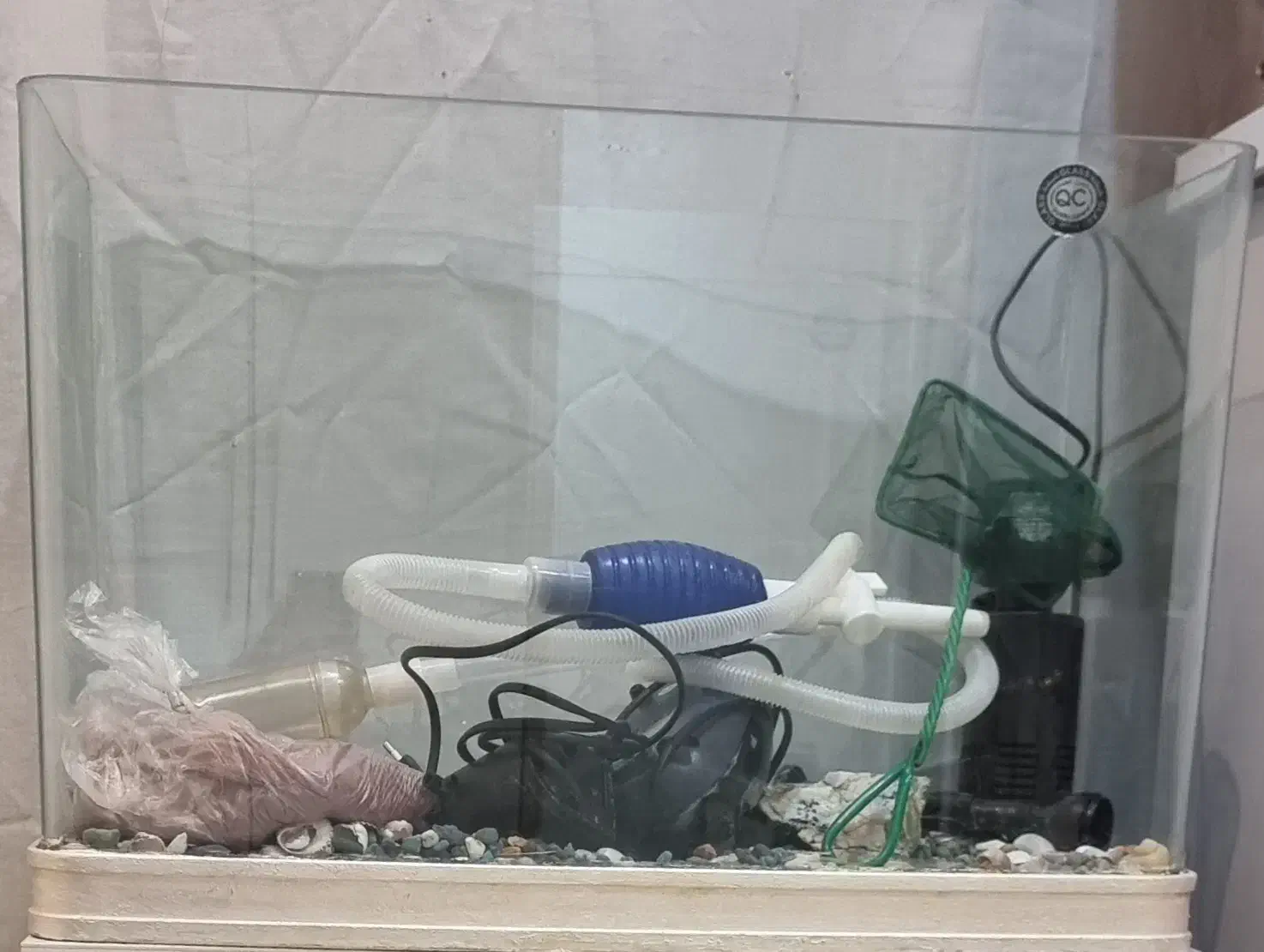 آکواریوم|ماهی|ری, دیلمان|دیوار