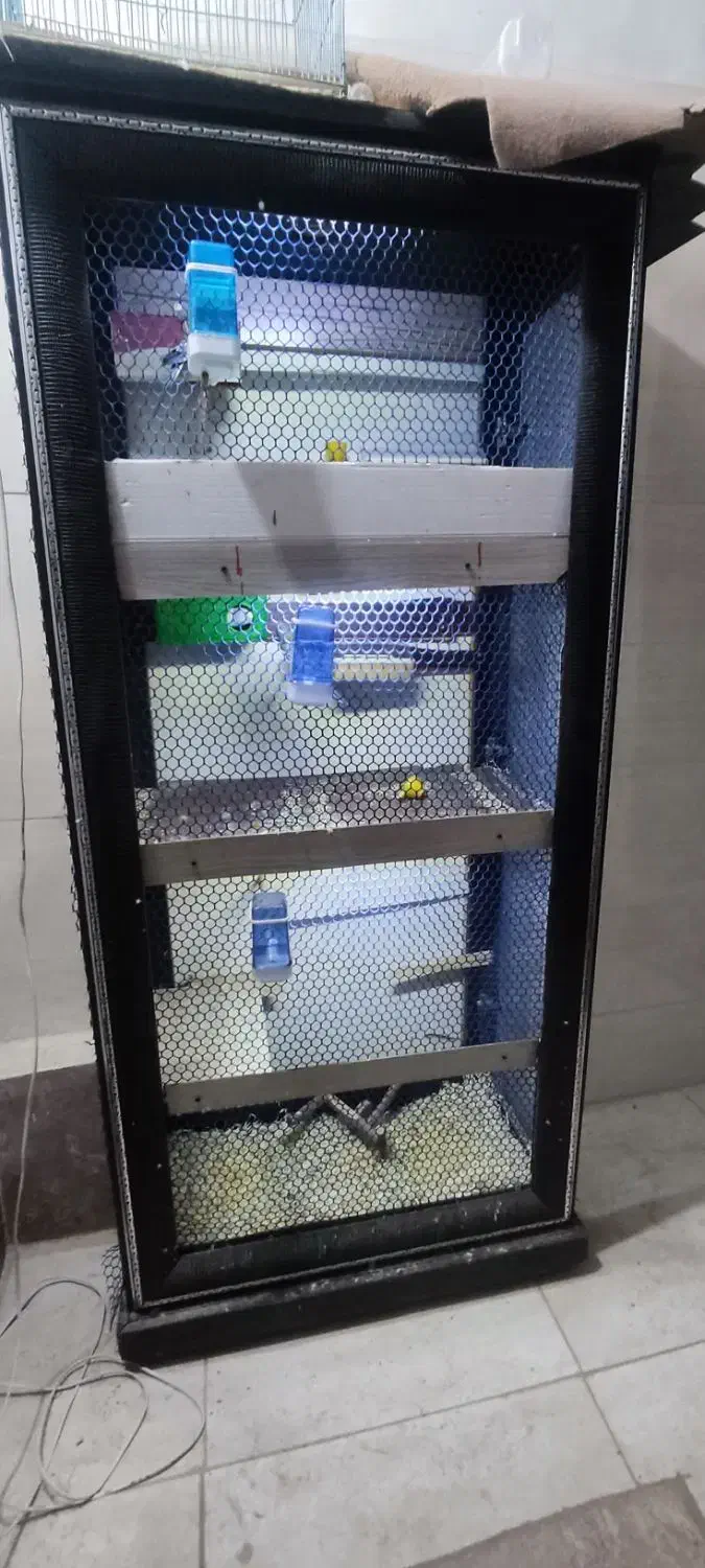 قفس پرنده چهار طبقه|لوازم جانبی حیوانات|مرودشت, کوشک|دیوار