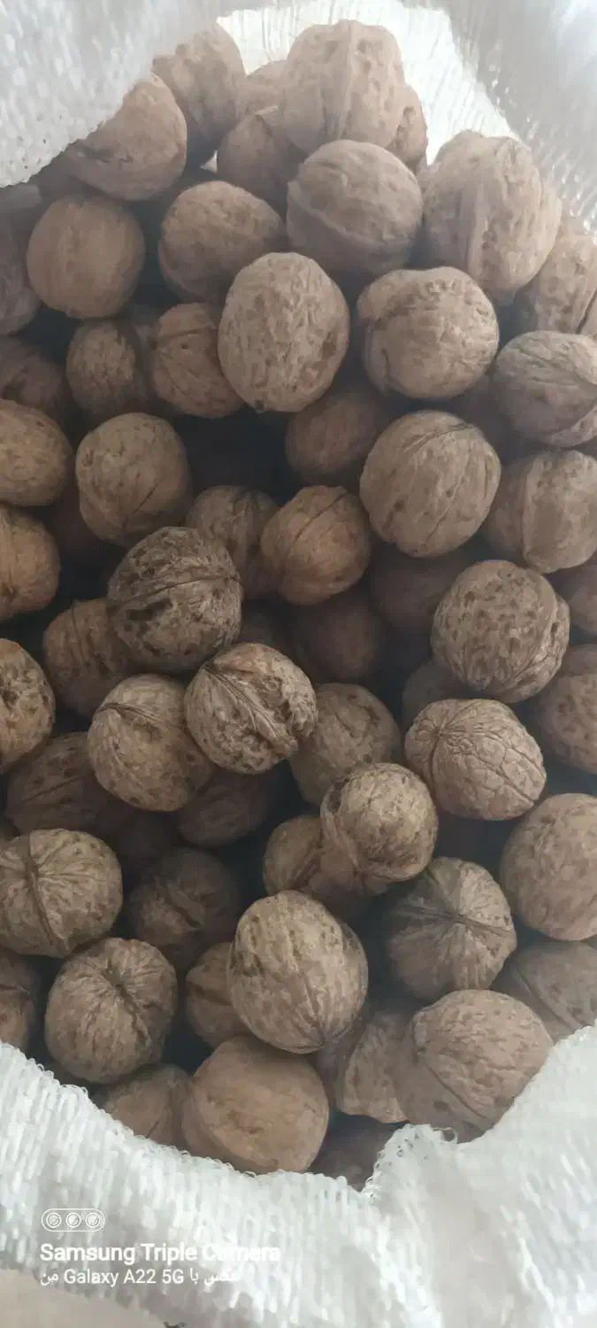 گردو محلی و اخته زغال|خوردنی و آشامیدنی|قزوین, |دیوار