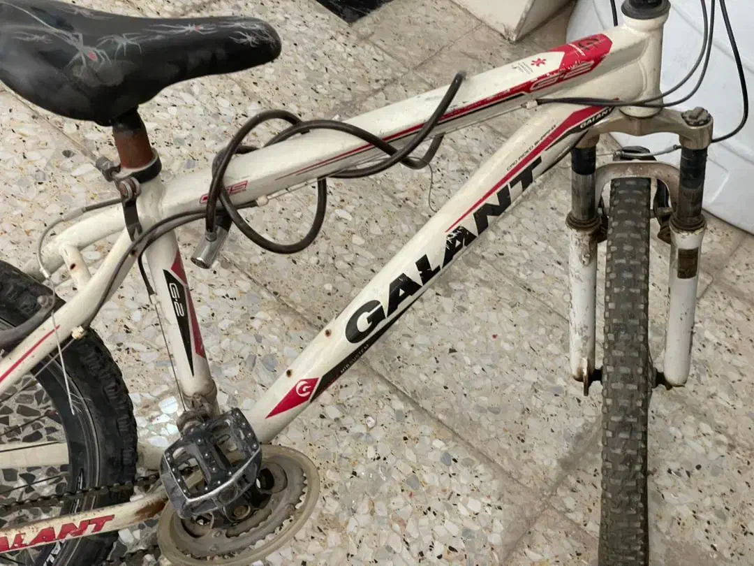 دوچرخه ۲۶گالانت|دوچرخه، اسکیت، اسکوتر|اصفهان, بهرامآباد|دیوار