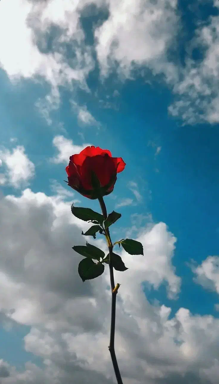 دنبال کار خوبم|خدمات پیشه و مهارت|گوگان, |دیوار