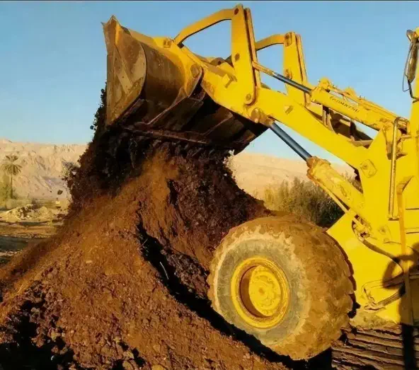 کودحیوانی کود حیوانی گوسفندی|خدمات باغبانی و درختکاری|کرمانشاه, |دیوار