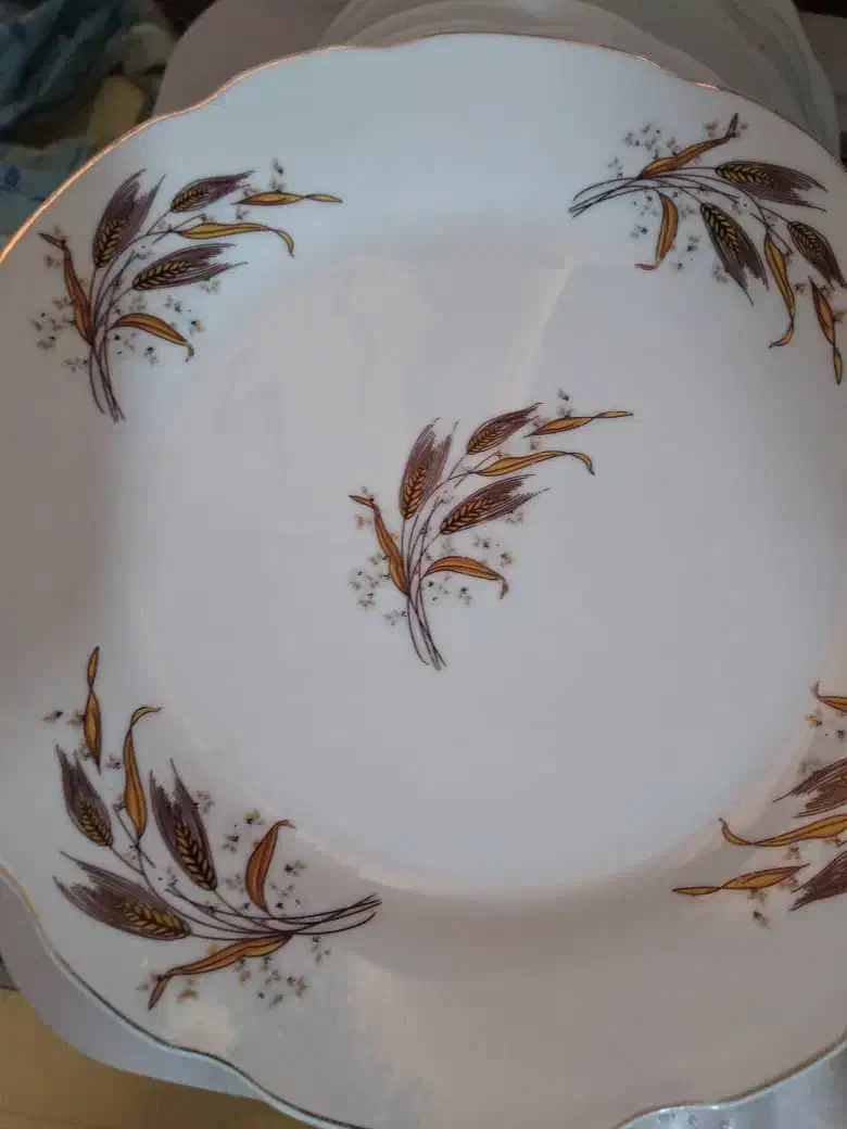 تعدادی بشقاب نو،استفاده نشده|ظروف سرو و پذیرایی|شیراز, شاپورجان|دیوار