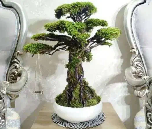 گل های مصنوعی|گل مصنوعی|ورامین, ورامین|دیوار