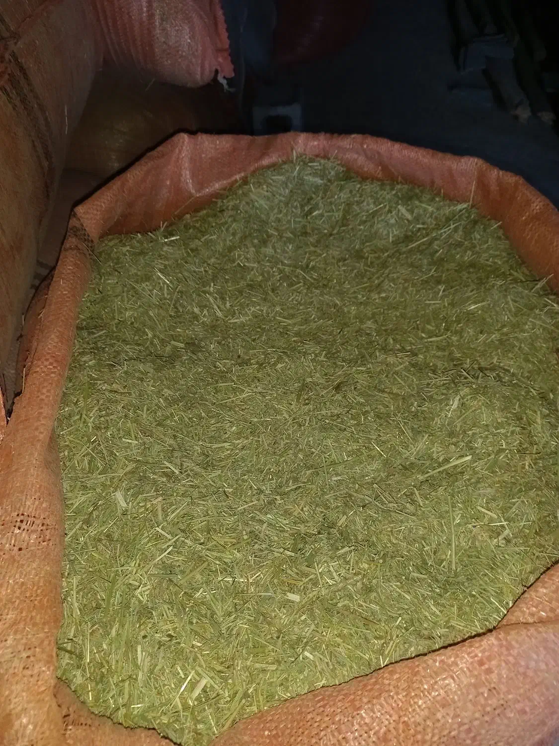 کاه یونجه|لوازم جانبی حیوانات|یاسوج, |دیوار