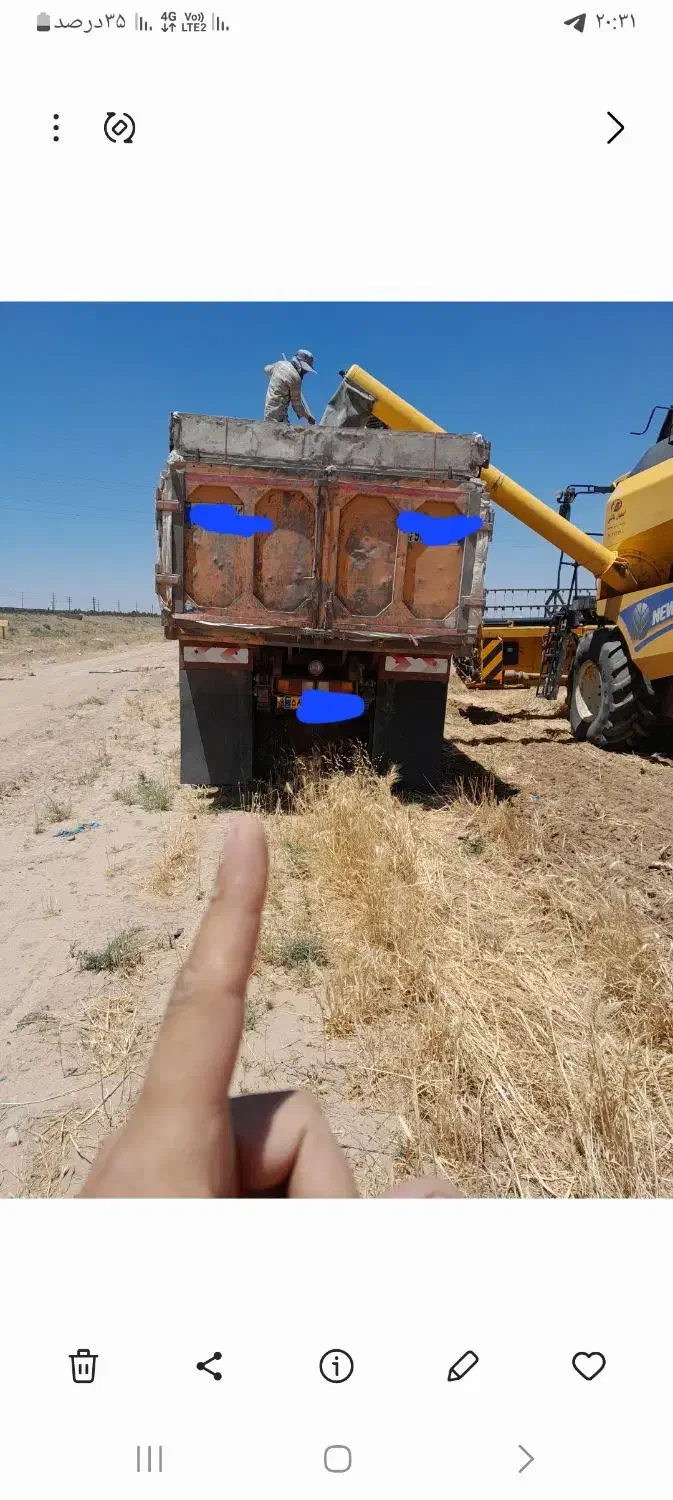 گندم|عمده‌فروشی|اسفرورین, |دیوار