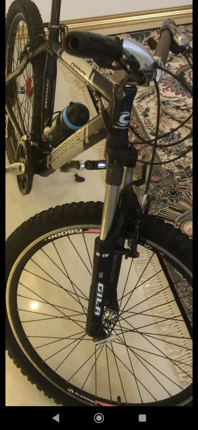 دوچرخه cannendell اصل آمریکایی|دوچرخه، اسکیت، اسکوتر|قم, سالاریه|دیوار