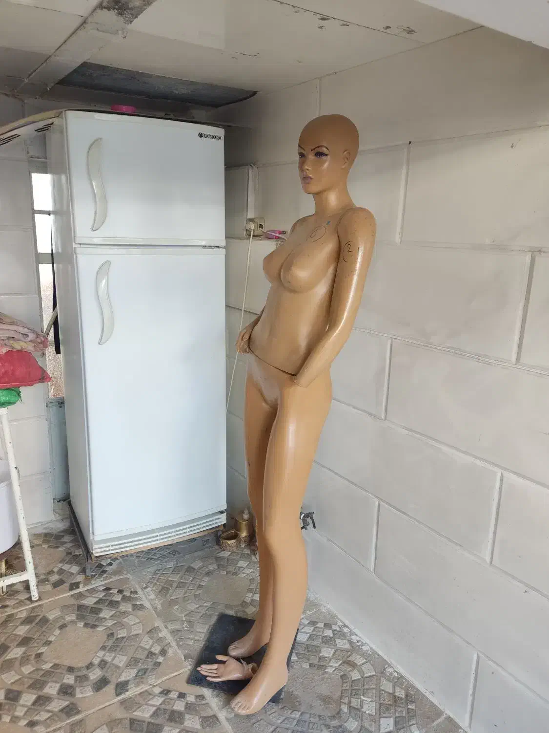 مانکن زنانه تمام تنه|فروشگاه و مغازه|روانسر, |دیوار