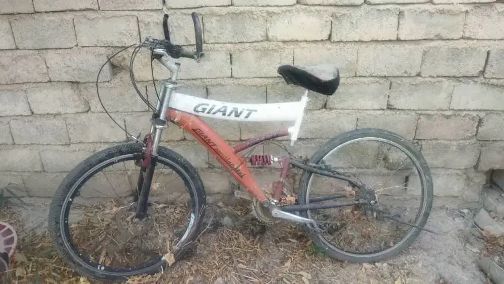 فروشی|دوچرخه، اسکیت، اسکوتر|فیروزآباد (فارس), |دیوار