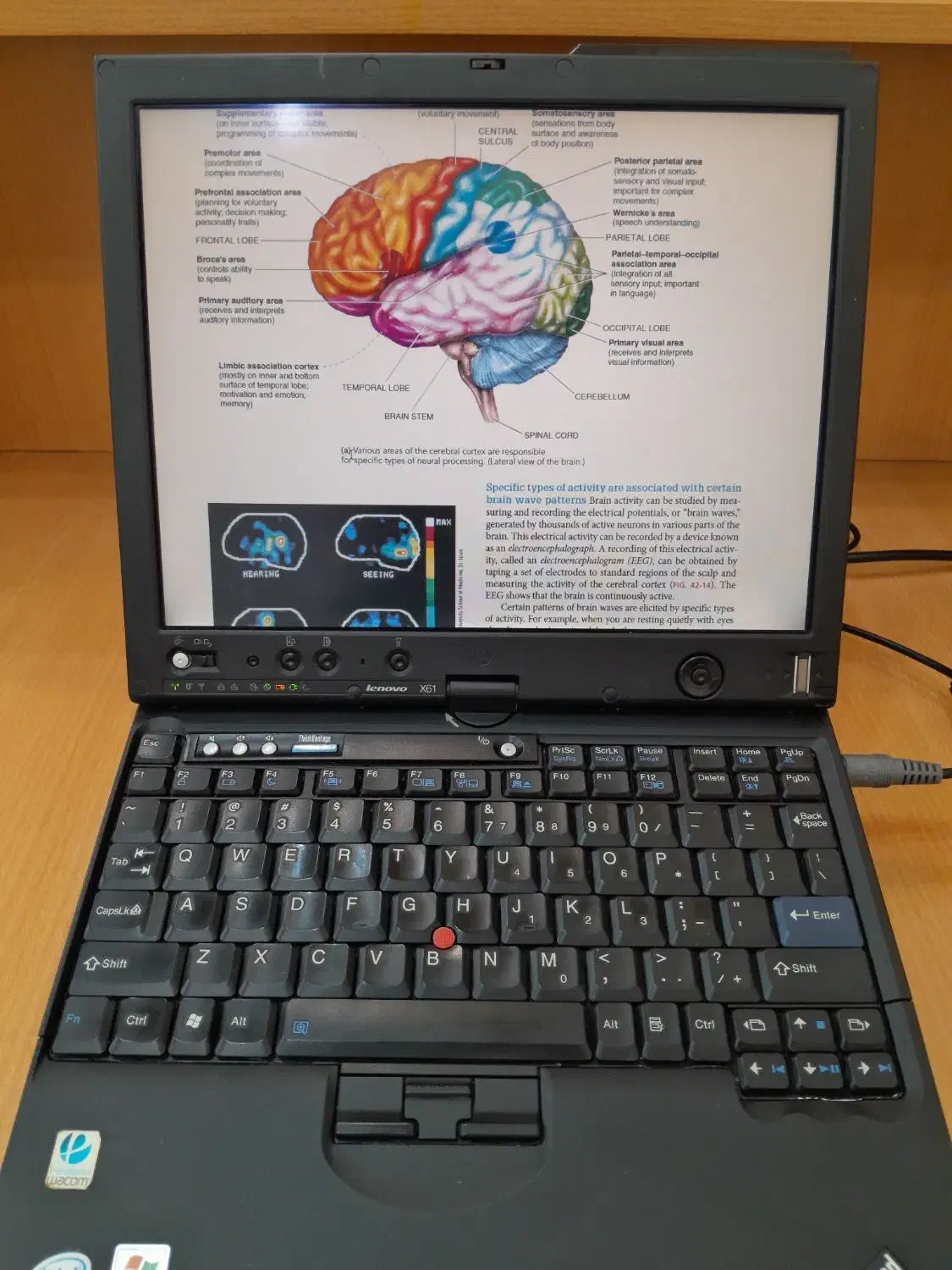 لپتاپ تبلت لنوو thinkpad x61|رایانه همراه|شیراز, ملاصدرا|دیوار