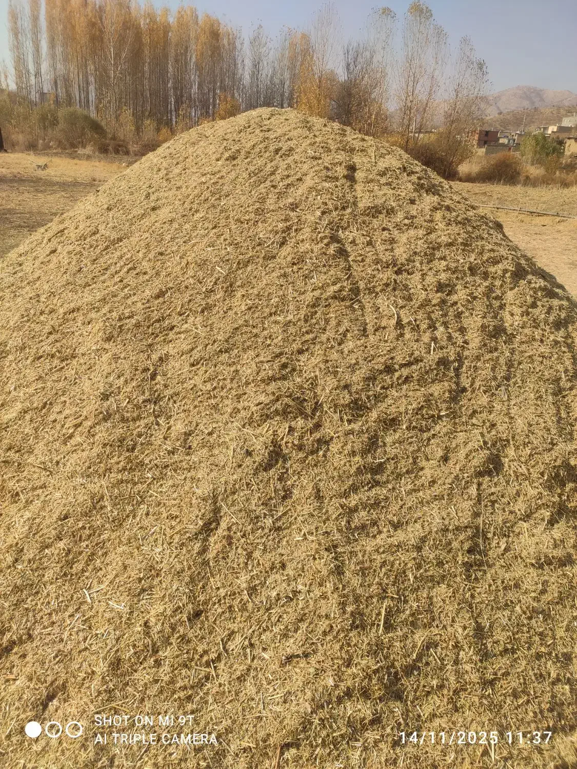 آلفسوزه|حیوانات مزرعه|مریوان, |دیوار