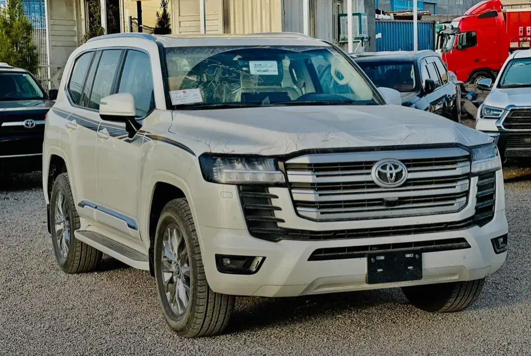 خدمات گمرک ثبت سفارش ترخیص پلاکملی و موقت جانبازی|خدمات حمل و نقل|تهران, هروی|دیوار