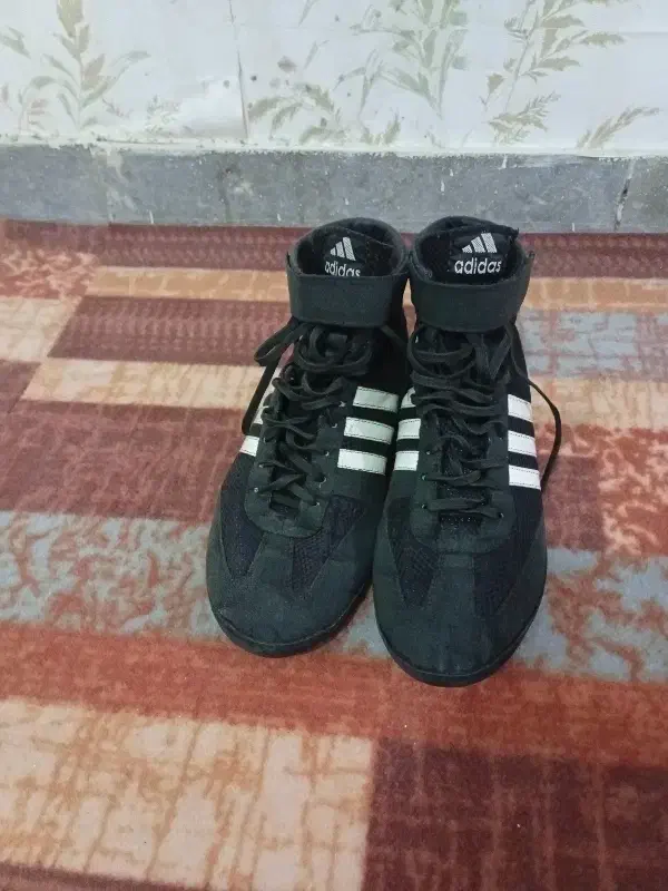 کفش کشتی سایز ۴۲ کامبت های کپی درحد نو|کیف، کفش، کمربند|اندیشه, اندیشه فاز ۲|دیوار