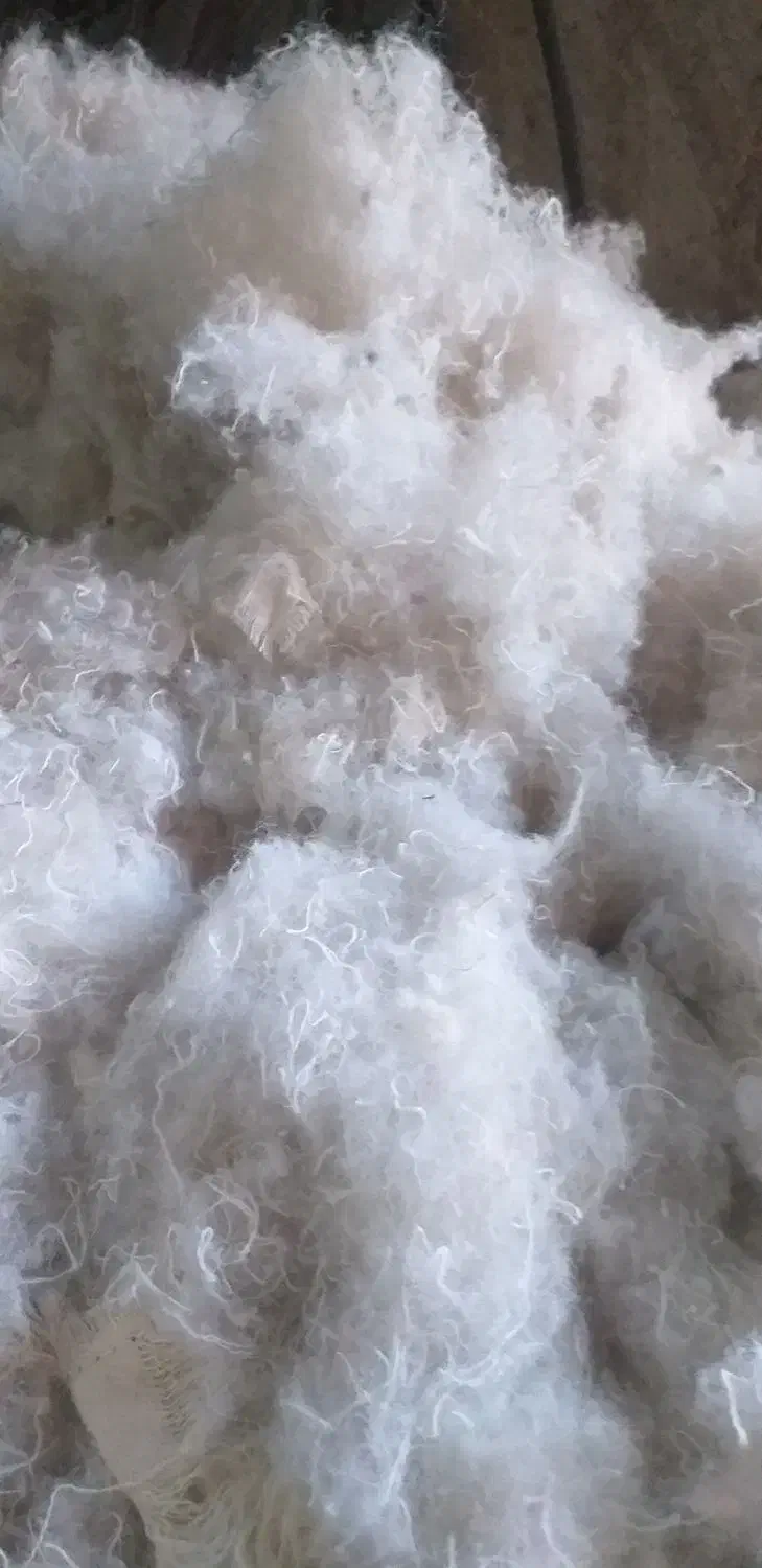 فروش الیاف کرک وکاموا|رختخواب، بالش، پتو|قرچک, داوود آباد|دیوار