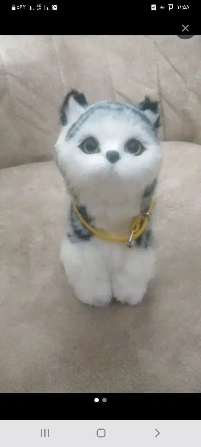 حیوانات|حیوانات|یزد, |دیوار