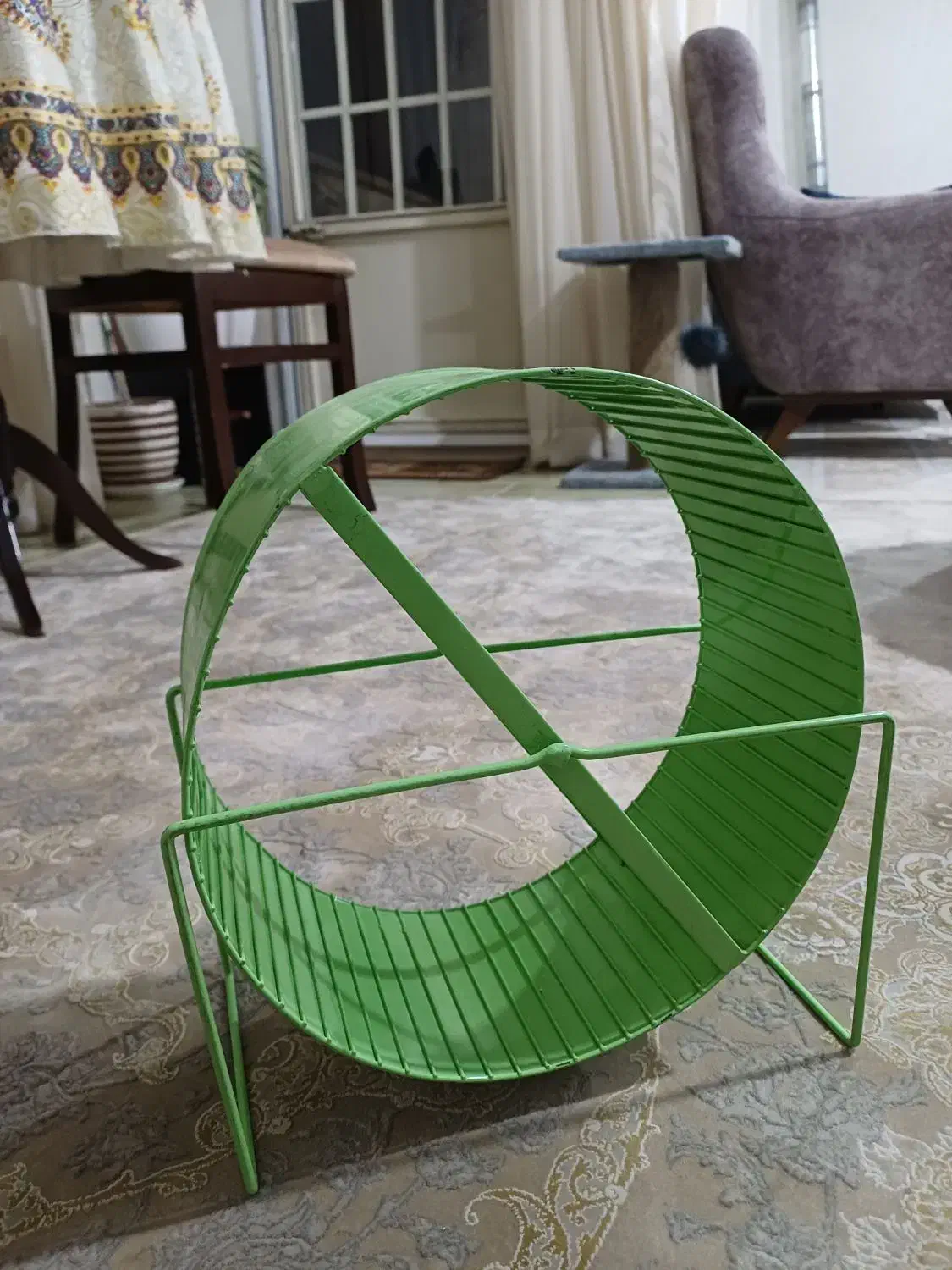 چرخ و فلک همستر و خوکچه هندی|لوازم جانبی حیوانات|قدس, شهر‌قدس|دیوار