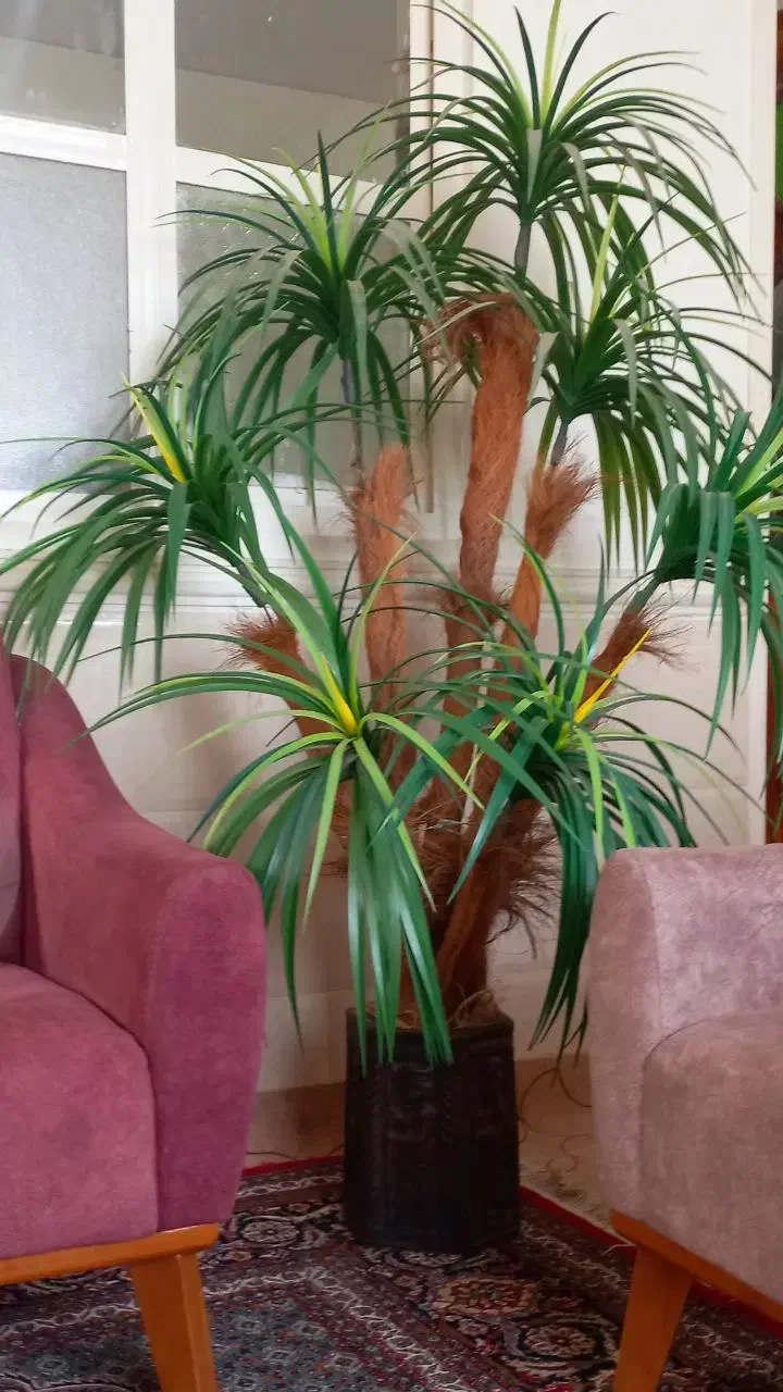 درختچه مصنوعی هفت شاخه هخامنش|گل مصنوعی|شیراز, تندگویان|دیوار