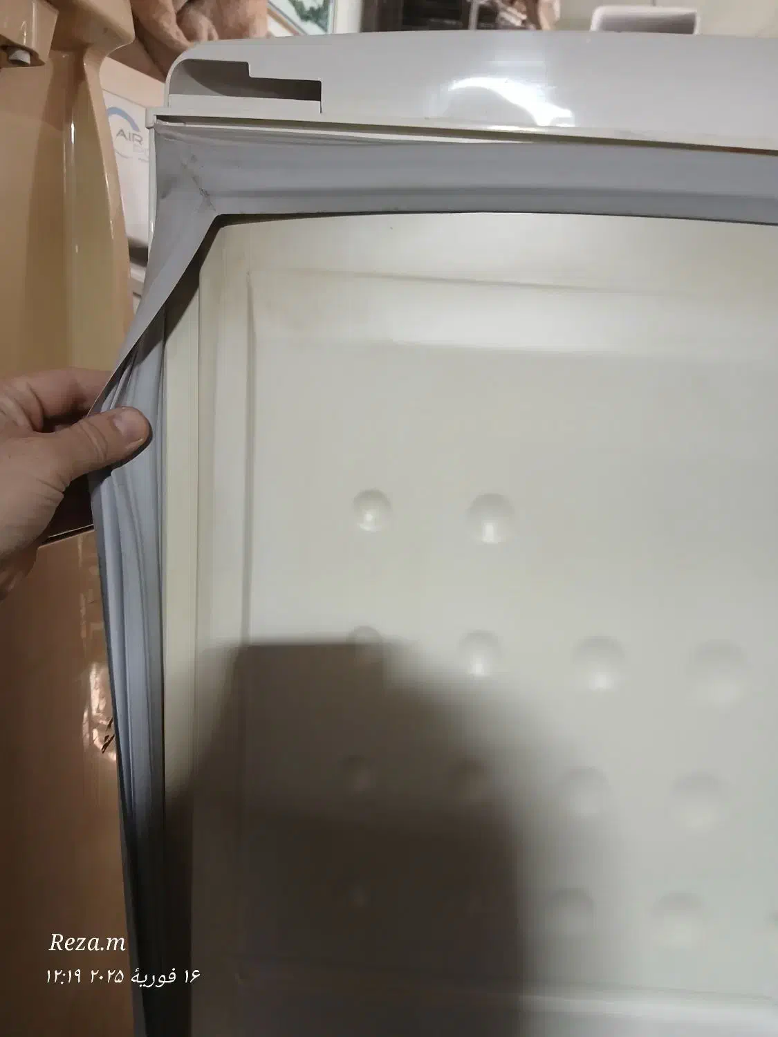 فروش ونصب نوار انواع یخچالهای خانگی وصنعتی|یخچال و فریزر|هشترود, |دیوار