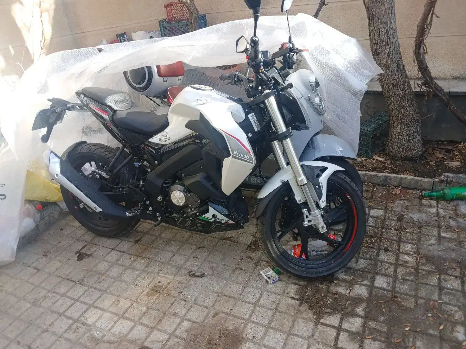 بنلی ۱۸۰ خشک زیر قیمت نمایندگی نقد اقساط|موتورسیکلت|همدان, |دیوار