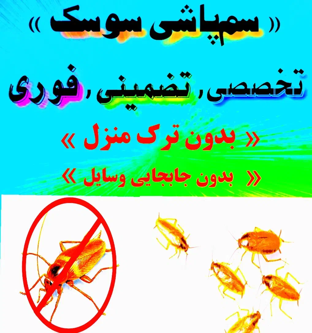 سمپاشی « سوسک »|خدمات نظافت|بندرعباس, |دیوار