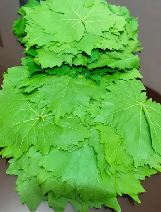 برگ دلمه|خوردنی و آشامیدنی|سنندج, |دیوار