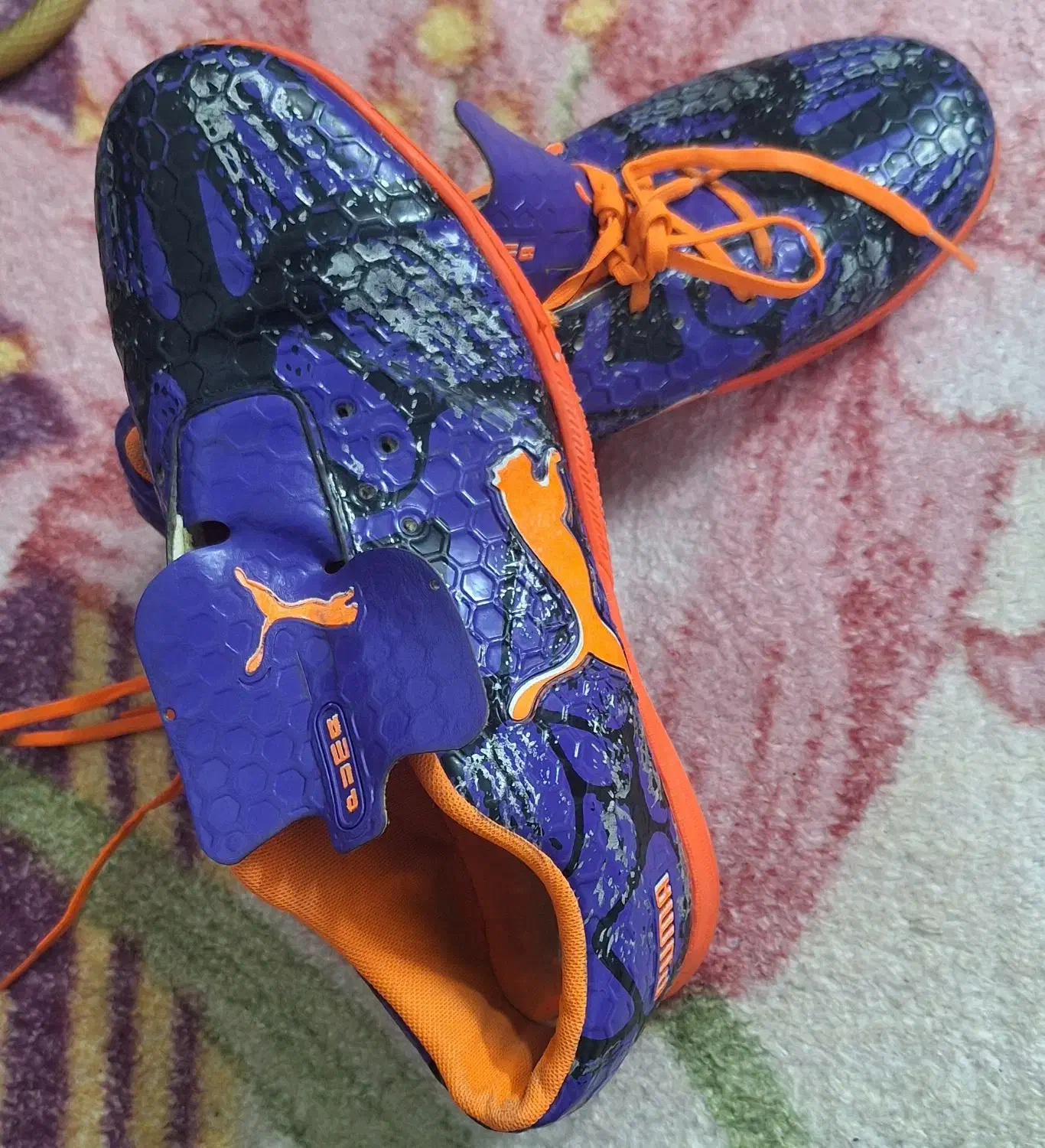 یه جفت کفش سالنی|کیف، کفش، کمربند|کبودرآهنگ, |دیوار