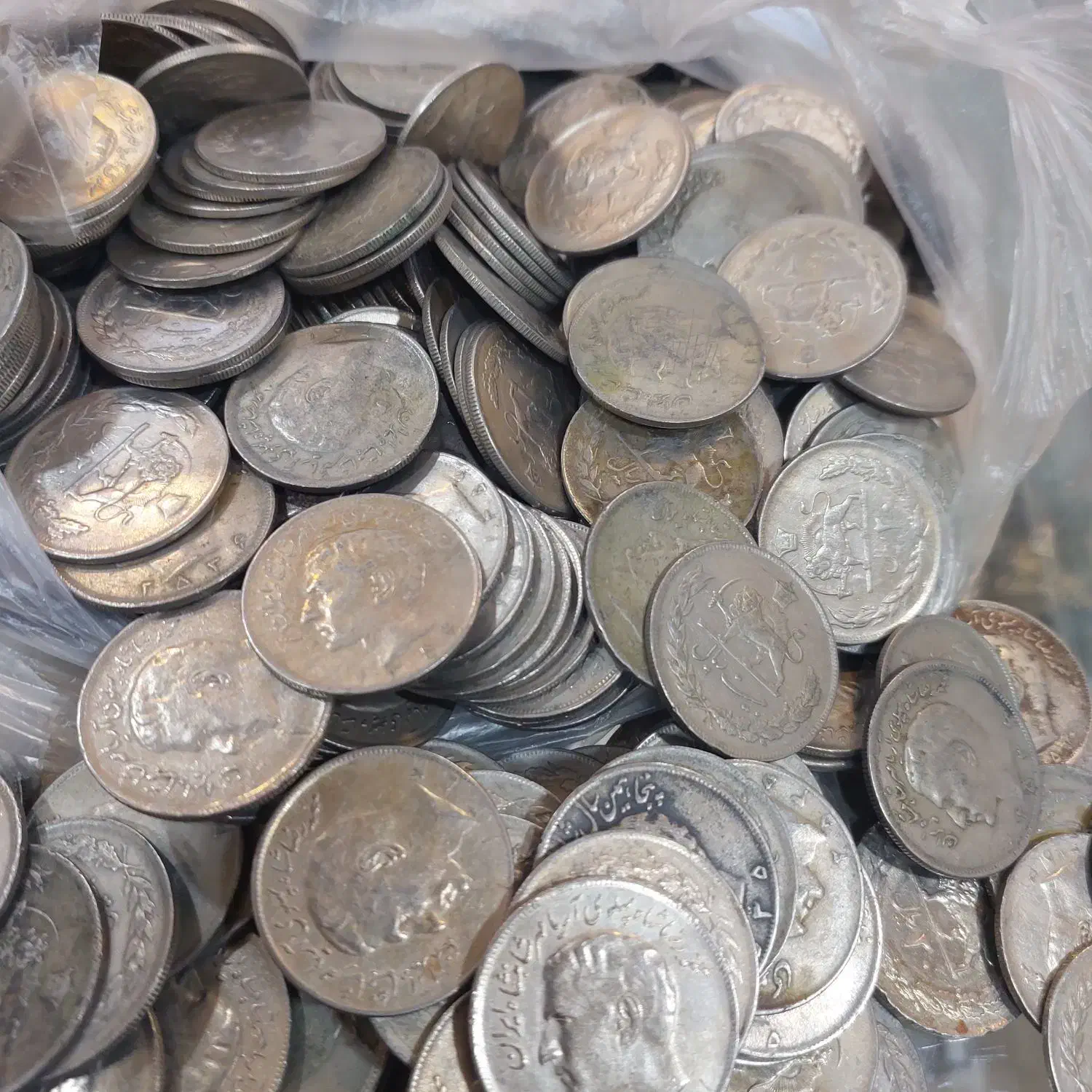 سکه شاهی کیلویی|کلکسیون سکه، تمبر، اسکناس|کاشمر, |دیوار