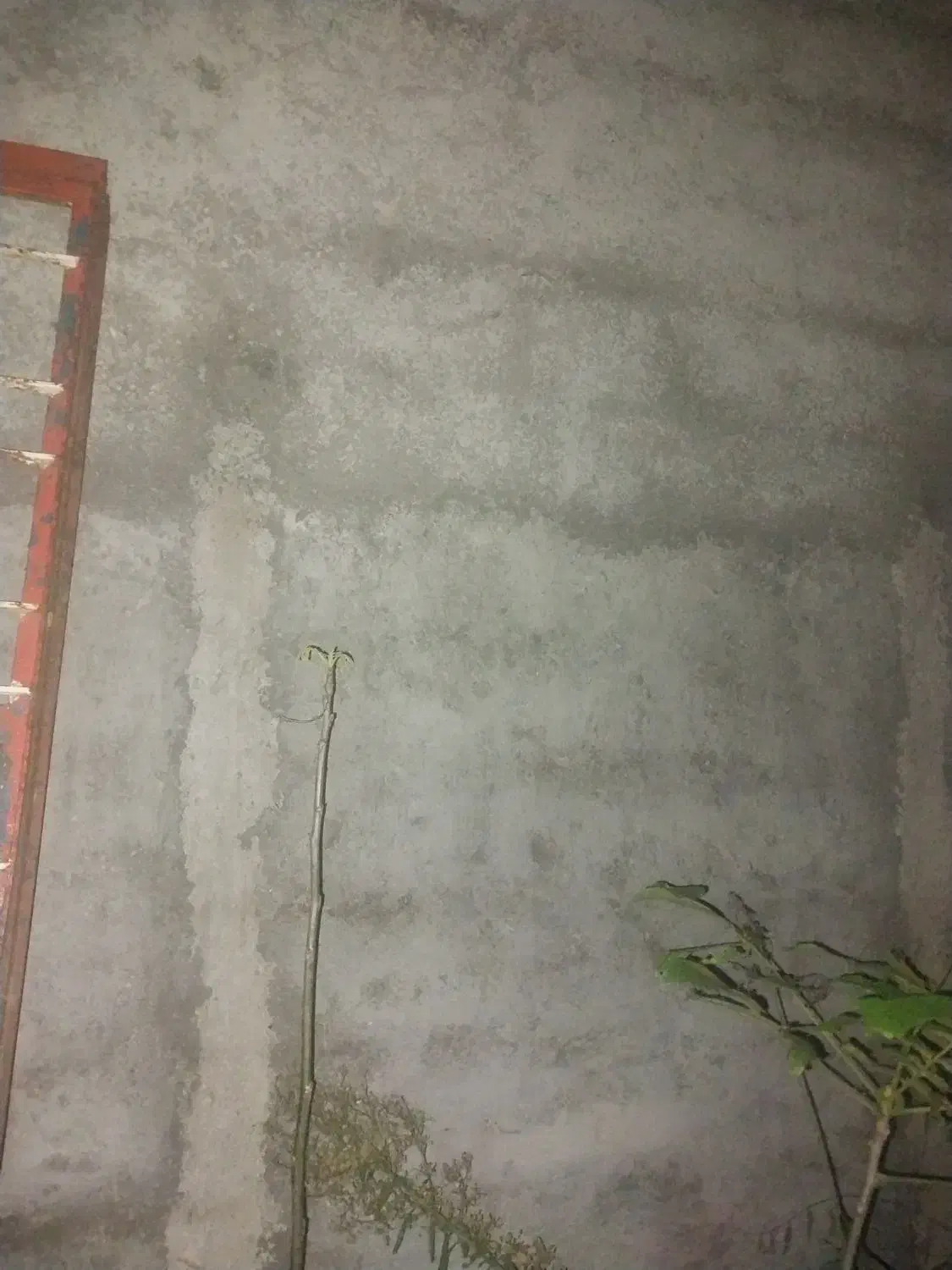 ملات عایق اماده|مصالح و تجهیزات ساختمان|لاهیجان, لفمجان|دیوار