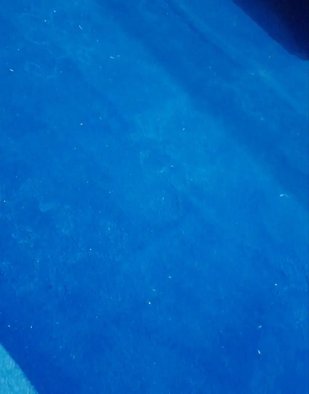 6 متر موکت سالم بدون استفاده|موکت|زاهدان, |دیوار