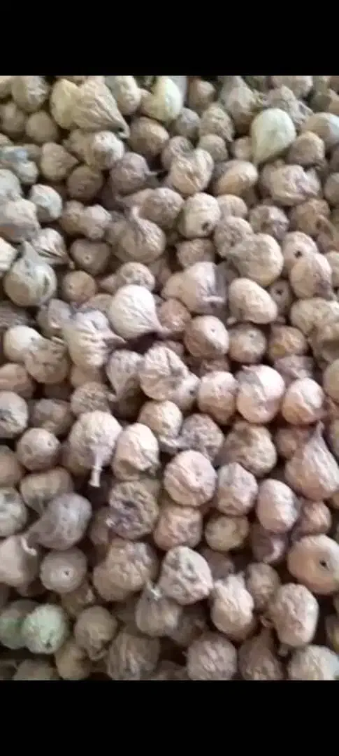 انجیر استهبان|خوردنی و آشامیدنی|شیراز, فضل‌آباد|دیوار