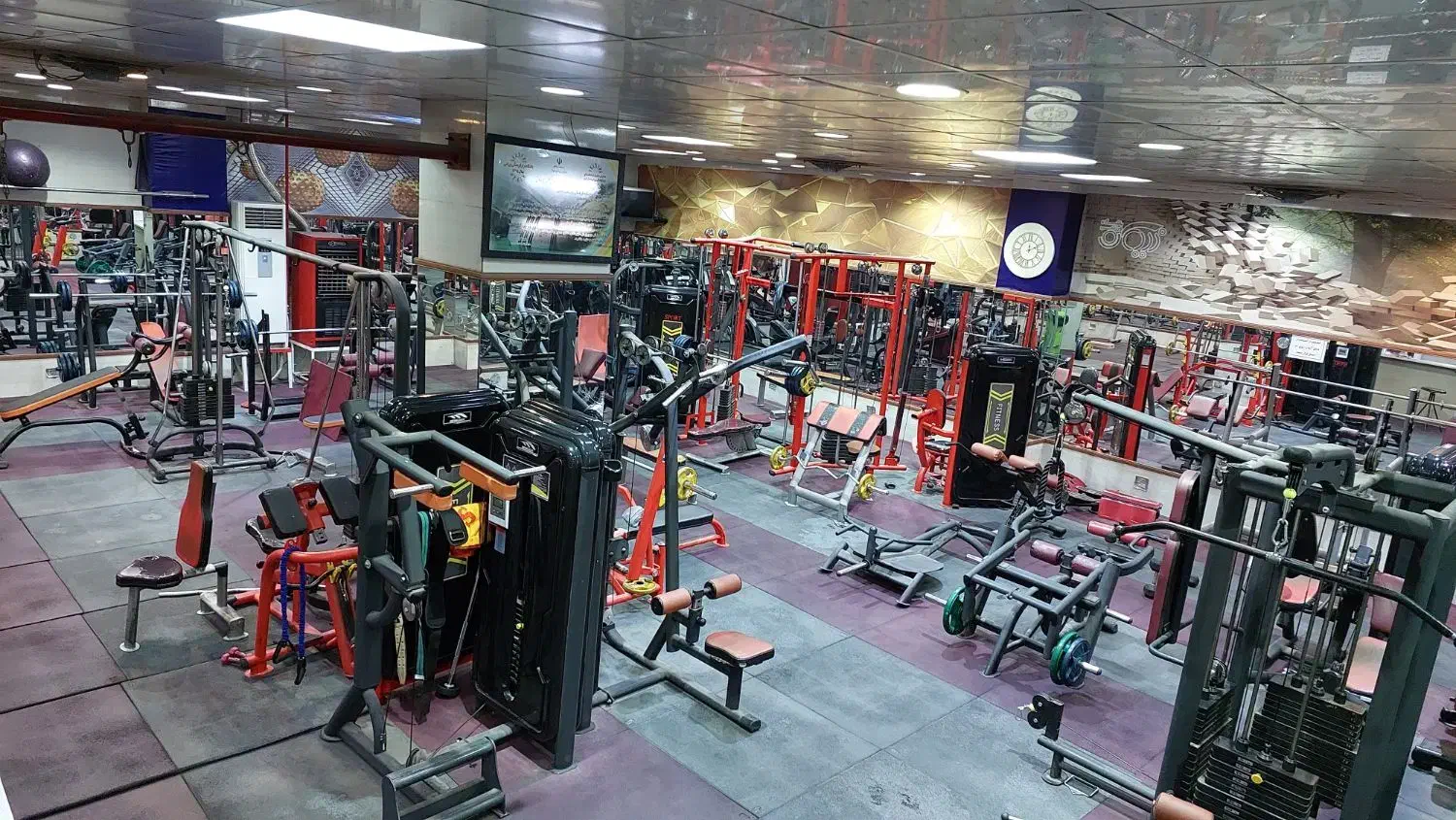 دستگاه بدنسازی|تجهیزات ورزشی|هشتگرد, شهرک بعثت|دیوار