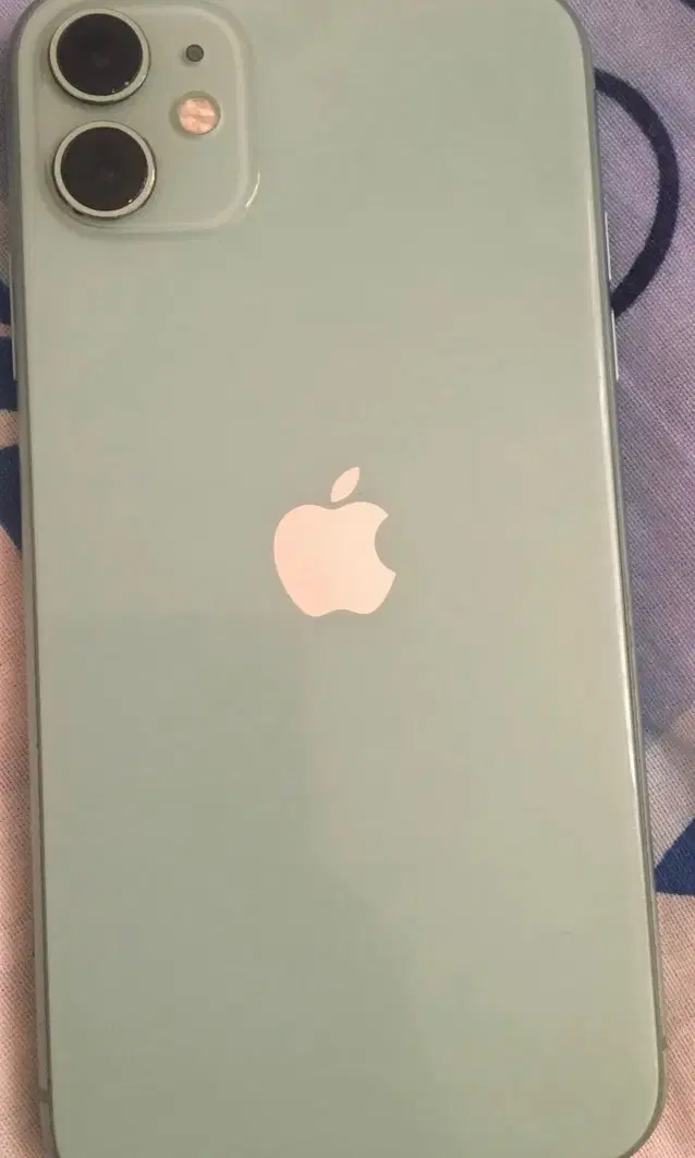 Iphone 11|موبایل|شیراز, شهرک استقلال|دیوار