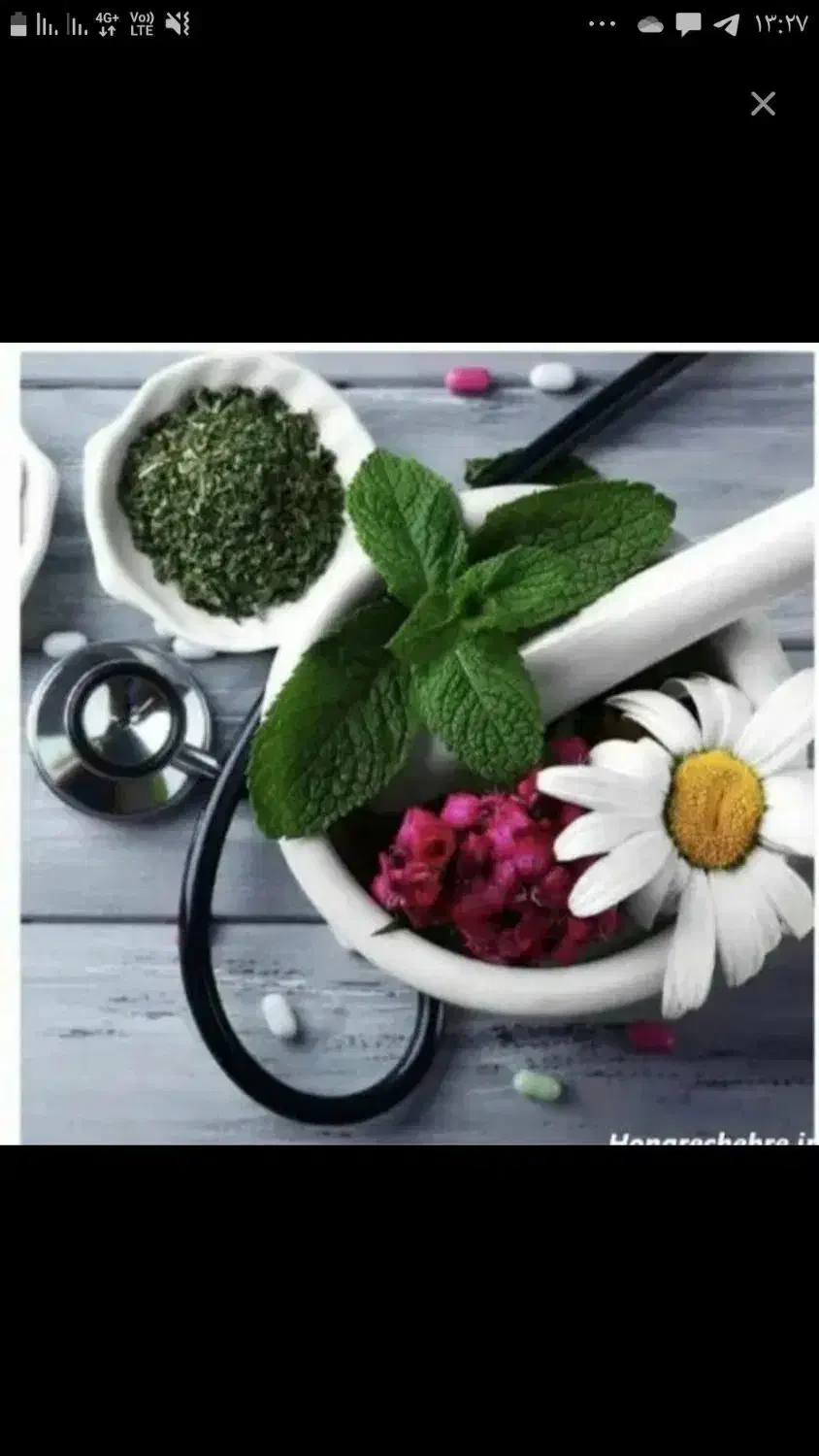 خانم  امورمنزل آشپزی کودک روزانه،سالمند شبانه روزی|استخدام درمانی، زیبایی، بهداشتی|تهران, آذربایجان|دیوار