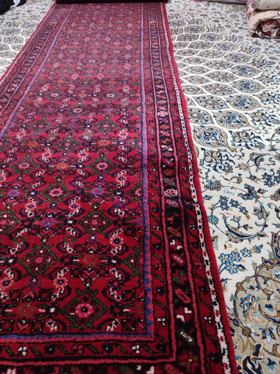 فرش دست باف|فرش|کنگاور, |دیوار