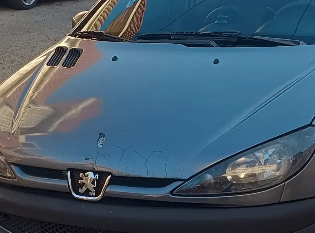 کاپوت فابریک ۲۰۶|قطعات یدکی و لوازم جانبی|شیراز, فرگاز|دیوار