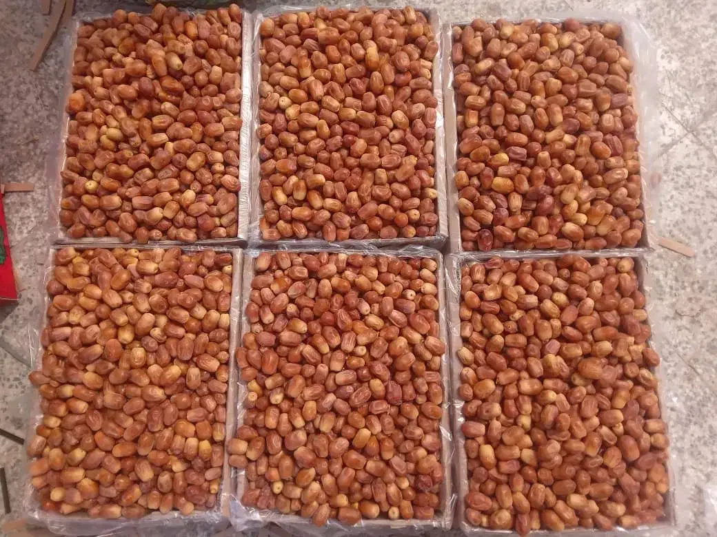 خرما زاهدی /قصب درجه یک محصول امسال|خوردنی و آشامیدنی|شیراز, شهرک گلستان|دیوار