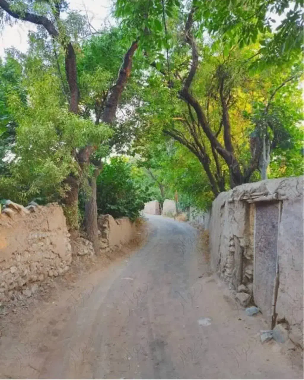 باغ روستای وشنوه|فروش زمین و ملک کلنگی|قم, علی آباد سعدگان|دیوار
