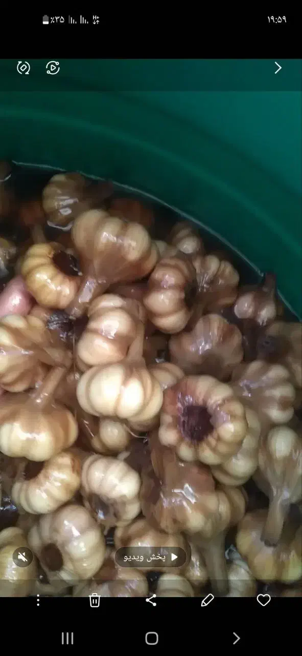 ترشیجات|خوردنی و آشامیدنی|رشت, شهرک قدس|دیوار