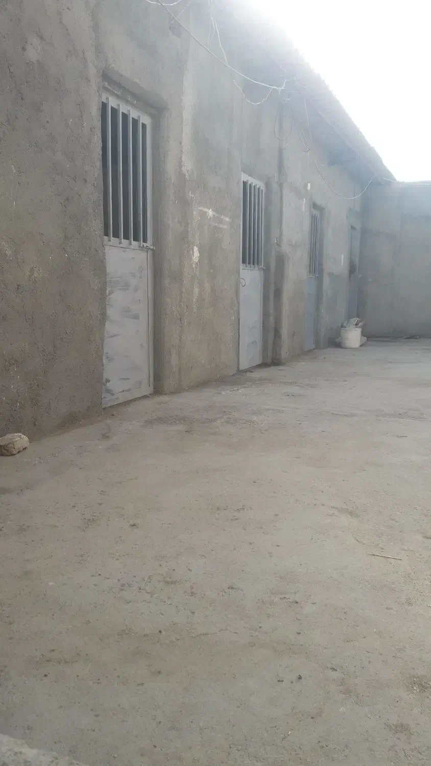 پانسیون اسب وتربیت اسب آموزش سوارکاری -نعلبندی|اسب و تجهیزات اسب‌سواری|مشهد, چهاربرج|دیوار