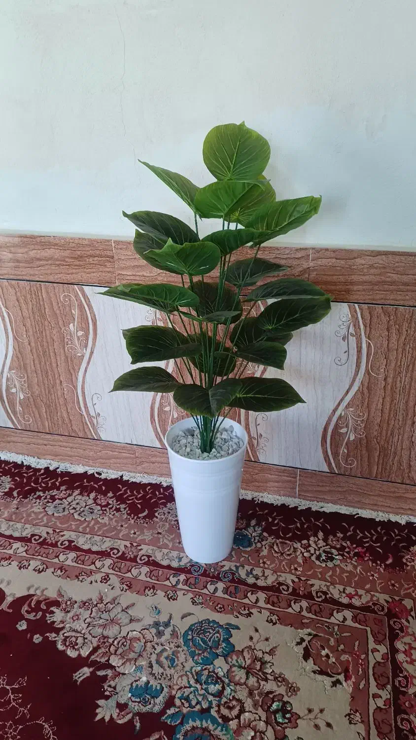 درختچه مصنوعی بابا آدم لمسی|گل مصنوعی|رامشیر, |دیوار