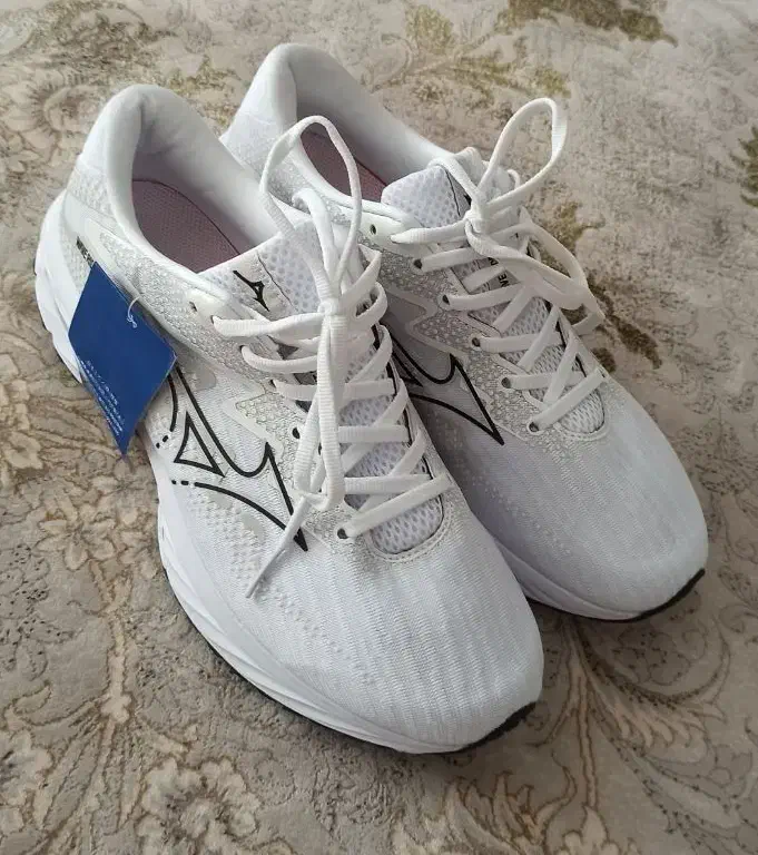 کفش خارجی اصلی|کیف، کفش، کمربند|مریوان, |دیوار