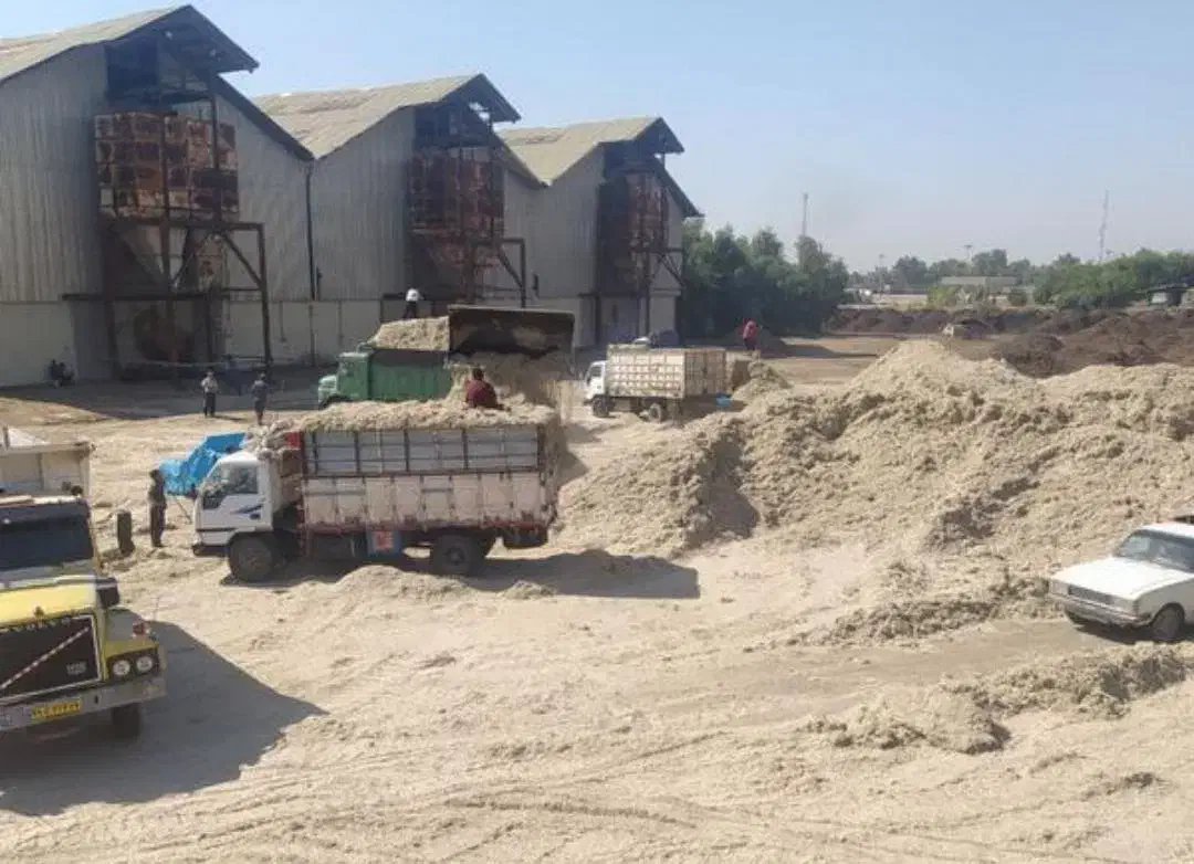 کاه نیشکر تازه شروع شد|حیوانات مزرعه|نجفآباد, قلعه سفید|دیوار