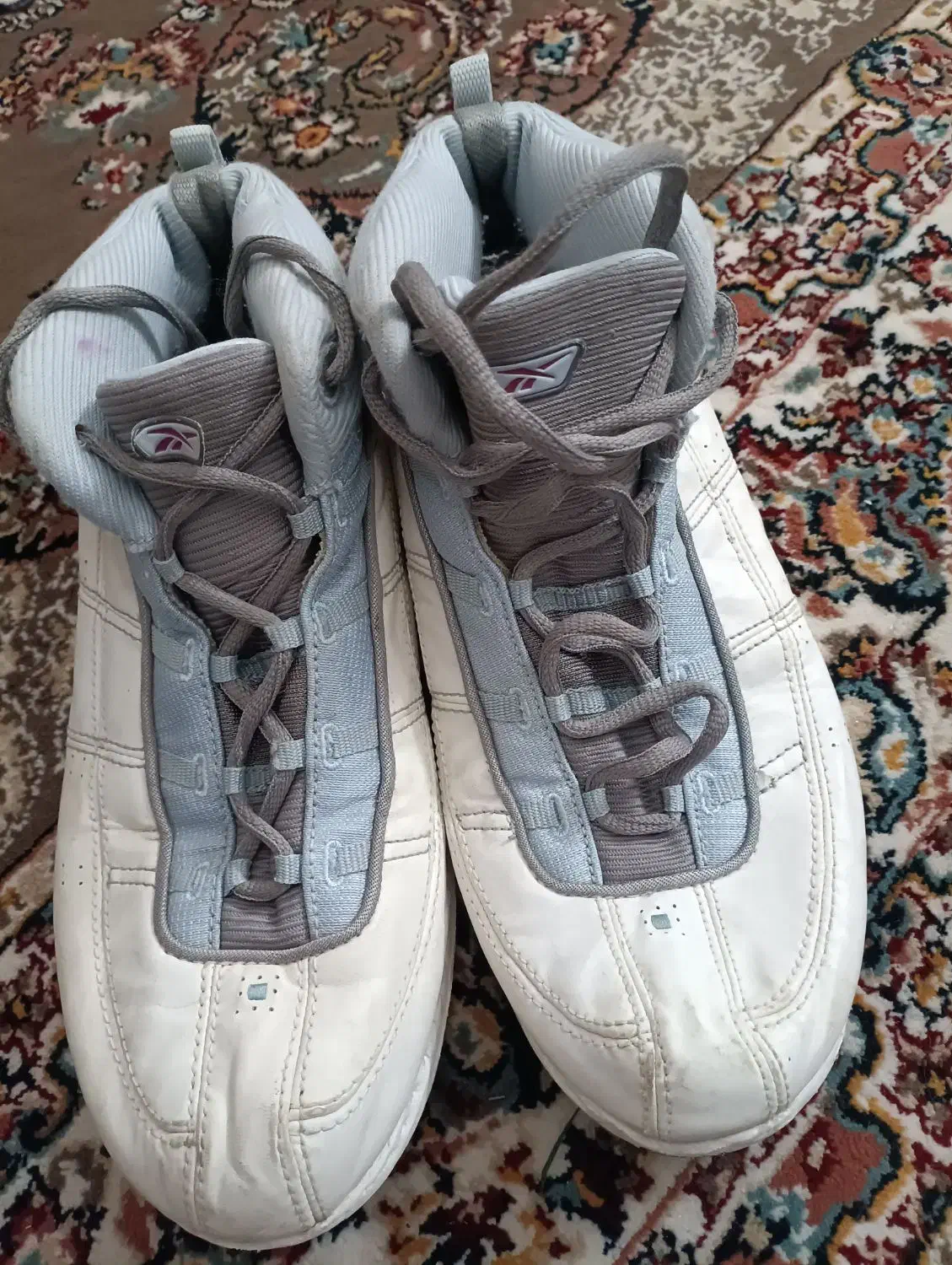 کفش|کیف، کفش، کمربند|ابهر, |دیوار