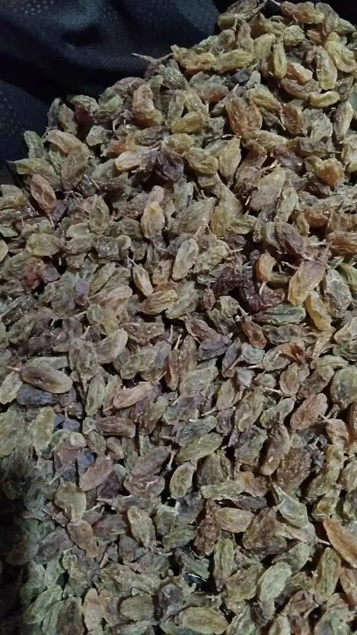 محصولات ارگانیک کامو|خوردنی و آشامیدنی|کاشان, فاز ۲ ناجی آباد|دیوار