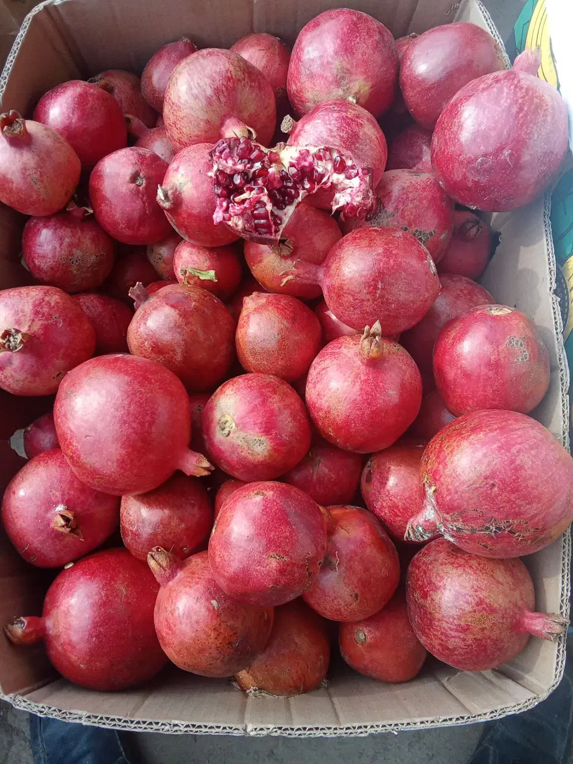 انار درجه ۱ قرمز|خوردنی و آشامیدنی|تربت‌حیدریه, رباط سفلی|دیوار