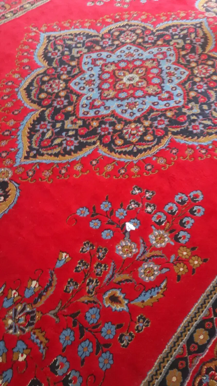 فروش فرش|فرش|سقز, |دیوار