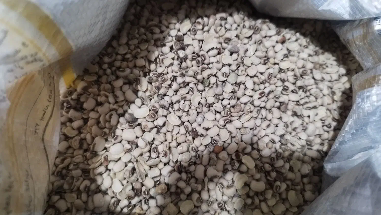 انواع لوبیا|خوردنی و آشامیدنی|شیراز, شیخ علی چوپان|دیوار