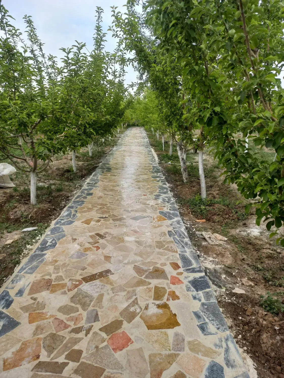 سنگ لاشه همرابانصب|عمدهفروشی|مشهد, کوشک مهدی|دیوار